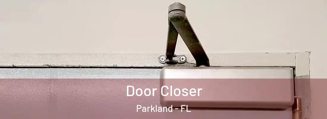 Door Closer Parkland - FL