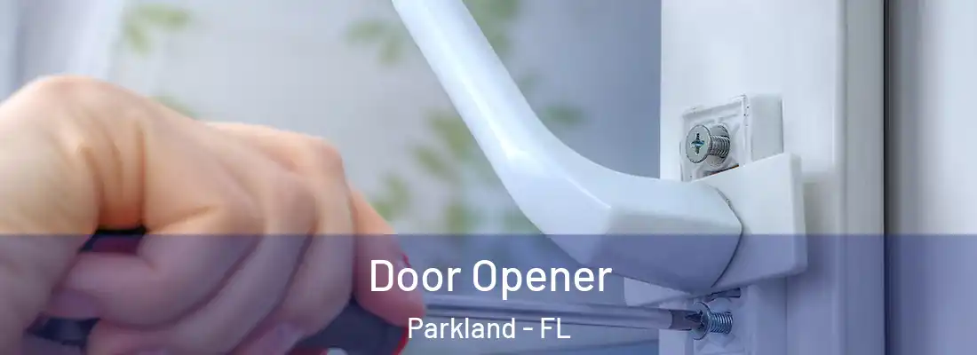 Door Opener Parkland - FL