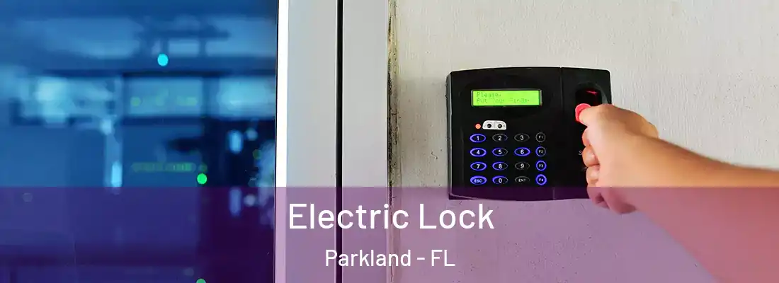Electric Lock Parkland - FL