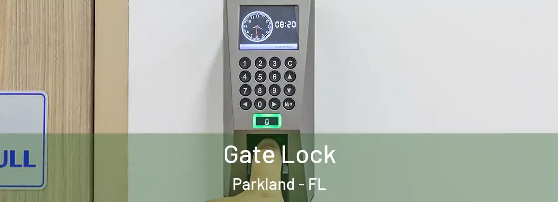 Gate Lock Parkland - FL
