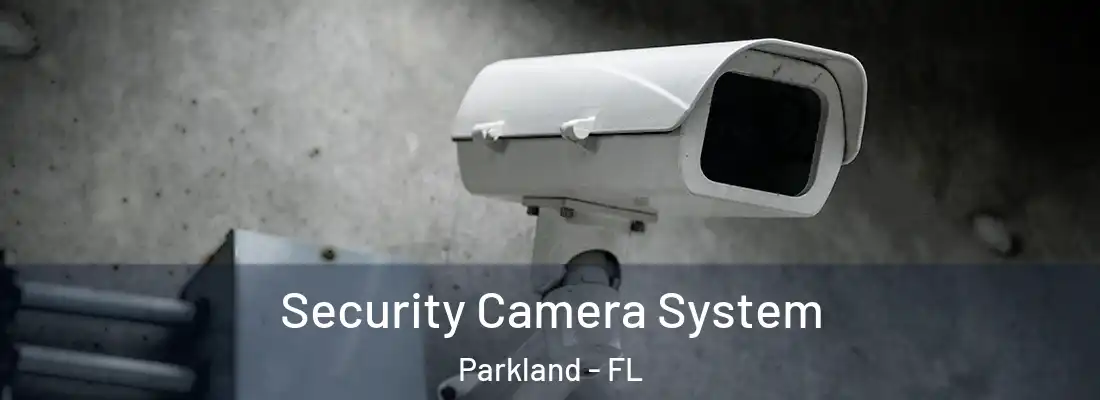 Security Camera System Parkland - FL
